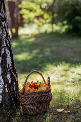 Similar image 21546887