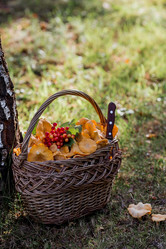 Similar image 21546888