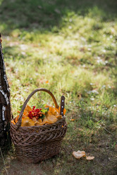 Similar image 21546889