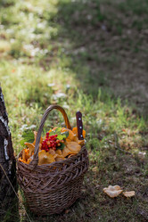 Similar image 21546890