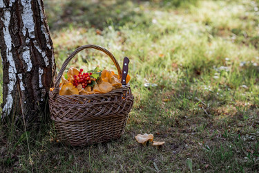 Similar image 21546891