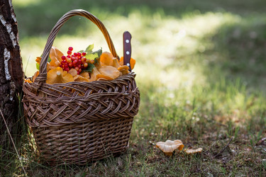 Similar image 21546892