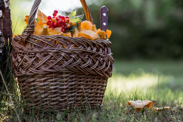 Similar image 21546893