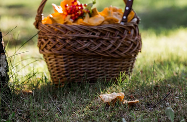 Similar image 21546894