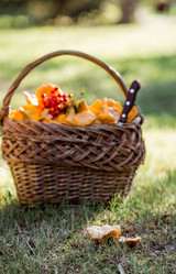 Similar image 21546895