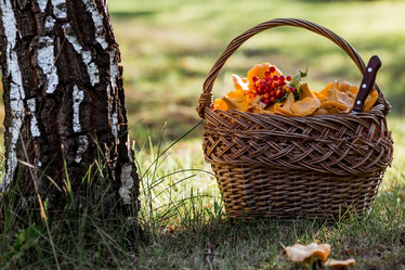 Similar image 21546897