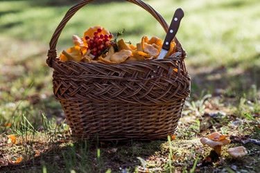 Similar image 21546898