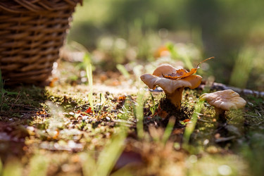 Similar image 21546899