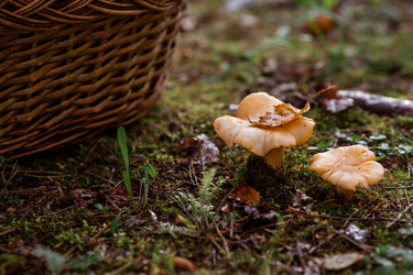 Similar image 21546900