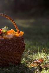 Similar image 21546901