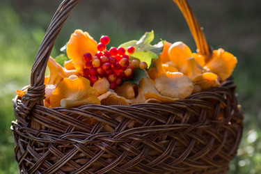 Similar image 21546903