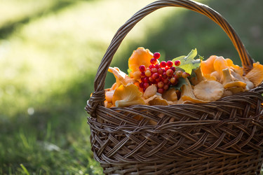 Similar image 21546904