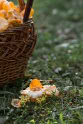 Similar image 21546906