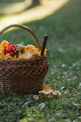 Similar image 21546909