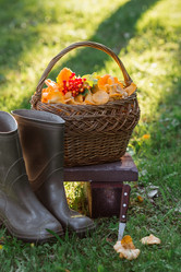 Similar image 21546911