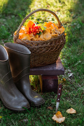 Similar image 21546912