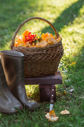 Similar image 21546913