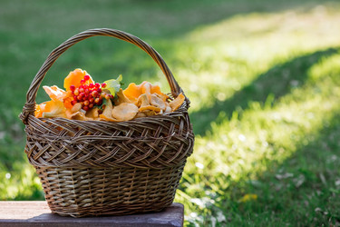 Similar image 21546914