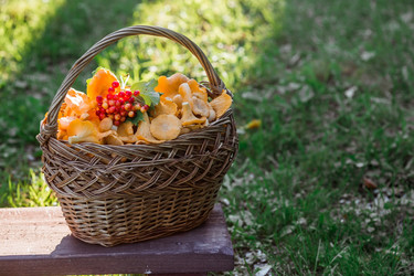 Similar image 21546915