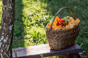 Similar image 21546916