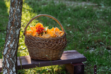 Similar image 21546917