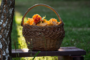 Similar image 21546919