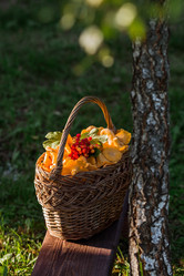 Similar image 21546920