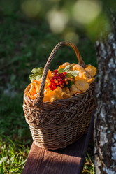 Similar image 21546921