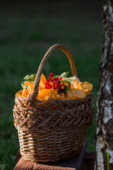 Similar image 21546922