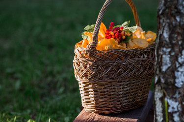 Similar image 21546923