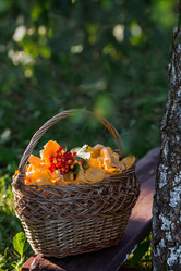 Similar image 21546925