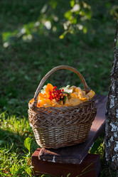 Similar image 21546927