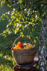 Similar image 21546928