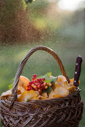 Similar image 21546978