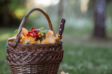 Similar image 21546979