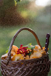 Similar image 21546980