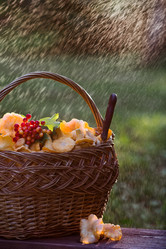 Similar image 21546981