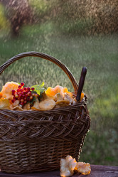 Similar image 21546982