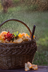 Similar image 21546983