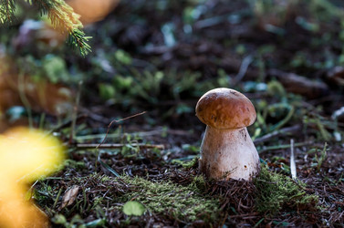 Similar image 21546984