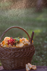 Similar image 21546985