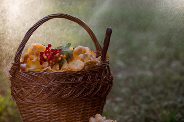 Similar image 21546986