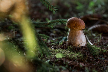 Similar image 21546987