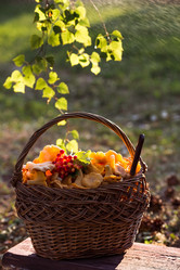 Similar image 21546989