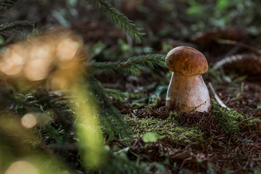 Similar image 21546990