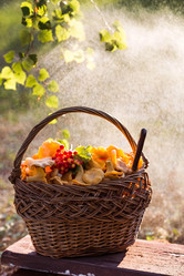 Similar image 21546991