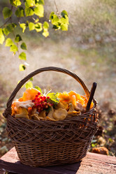 Similar image 21546992