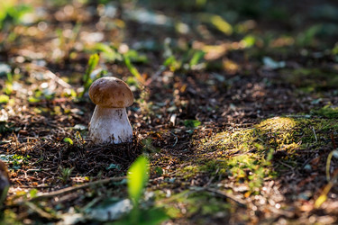 Similar image 21546995