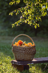 Similar image 21547000