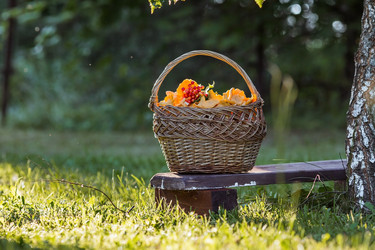 Similar image 21547002